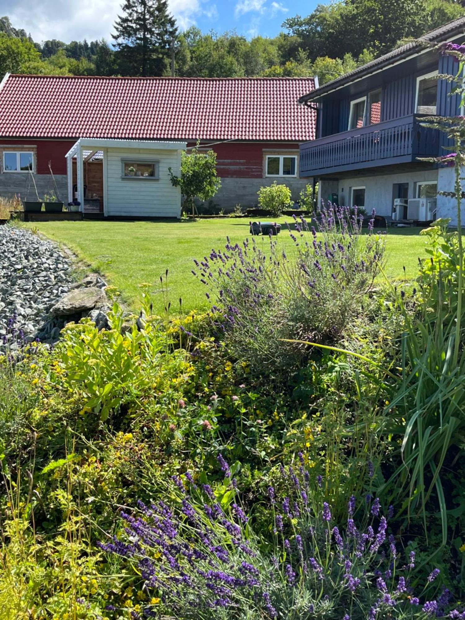 Kjolevik Lejlighed Jørpeland Eksteriør billede